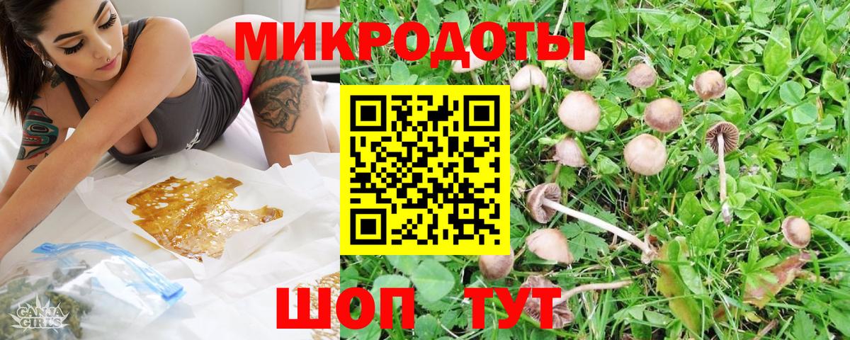 Кирово-Чепецк  Галлюциногенные грибы Psilocybine cubensis  Вход с VPN 